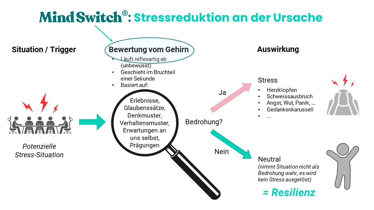 Mind Switch Stressreduktion an der Ursache