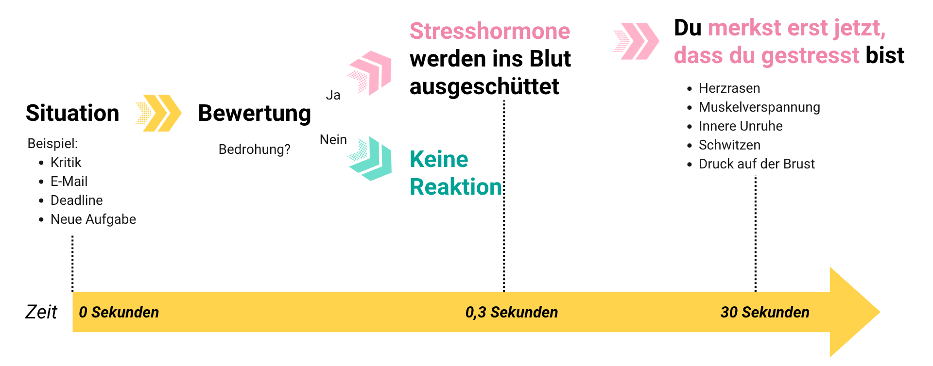Stressreaktion Stressreaktion